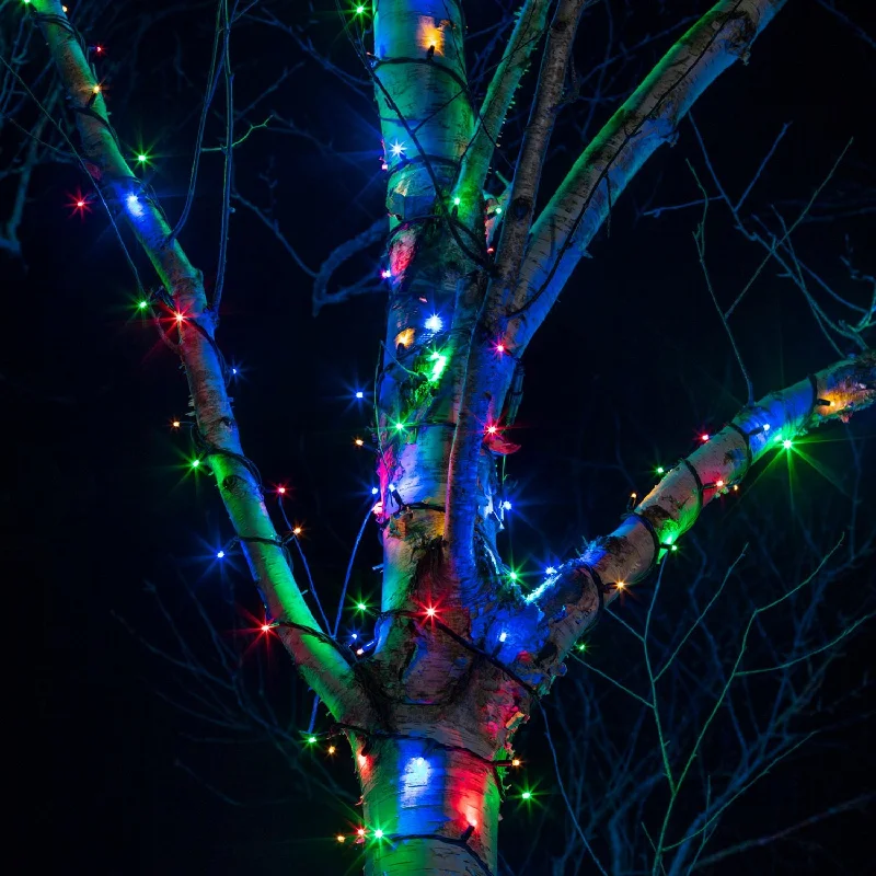 Pro Connect 100m 1000 Multi Coloured Connectable String Lights Black Cable