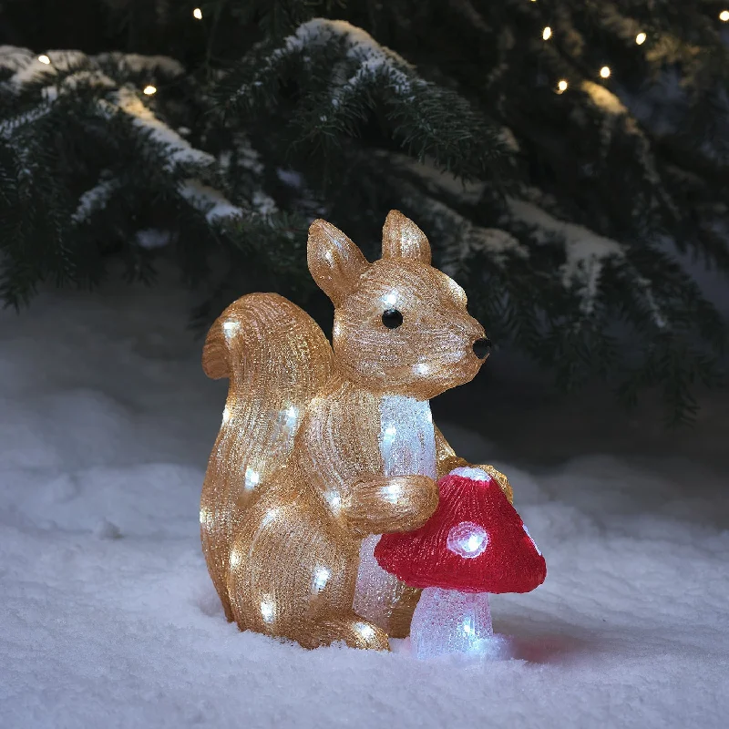 32cm Twiggy the Squirrel & Toadstool LED 3D Acrylic Figure